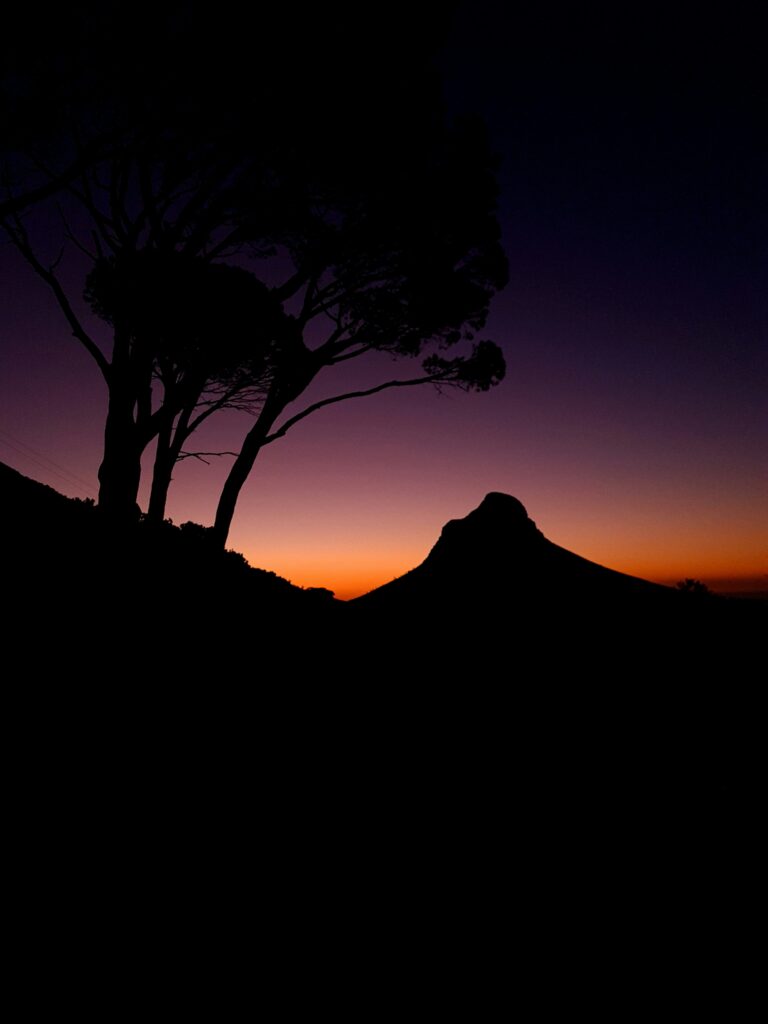 Lion’s Head